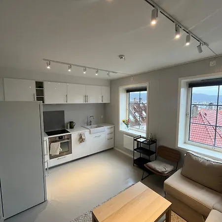Apartment And In Sandviken With Sea View